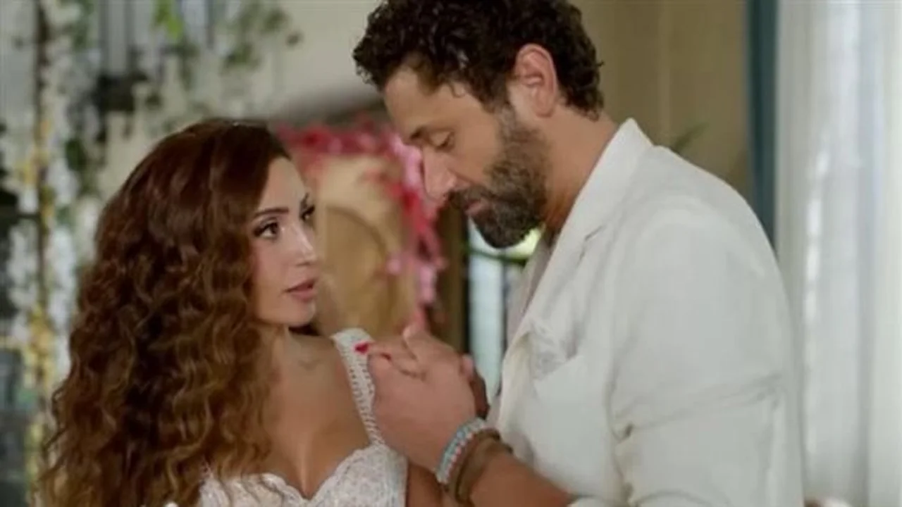 حقائق مؤكدة.. تفاصيل حقيقة ارتباط دينا الشربيني وكريم محمود عبد العزيز